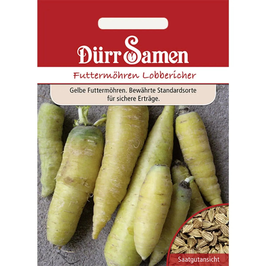 Dürr Lobbericher Saatgut Futtermöhren Gemüse für Salat und Rohverzehr 2000 g - Bild 2