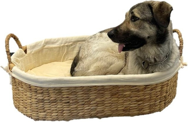 Geuther Hundekorb aus Wasserhyazinthe mit Bio-Baumwollbezug in Beige