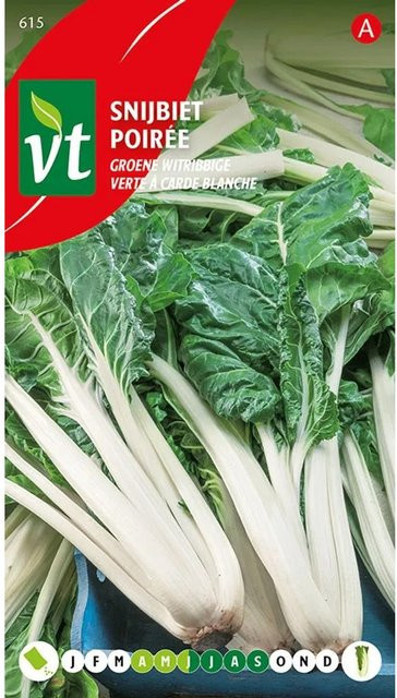 Arborix Rote Bete Grün-Weiß Saatgut 4 g - Bild 1
