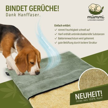mümmi Hundematte aus Hanf mit abnehmbarem Cordbezug in Hellgrün, B: 68 cm, T: 50 cm, H: 2 cm - Bild 4