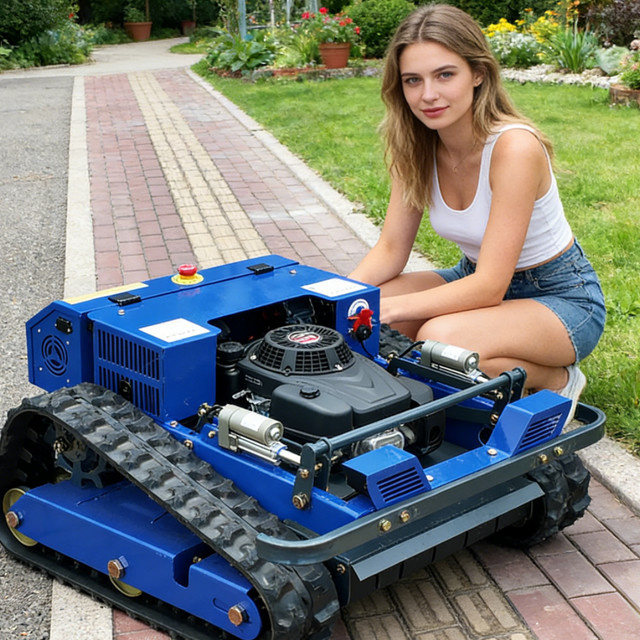 AIWEIYA Ferngesteuerter Mini-Rasenmäher in Blau für jedes Gelände und die Landwirtschaft - Bild 1