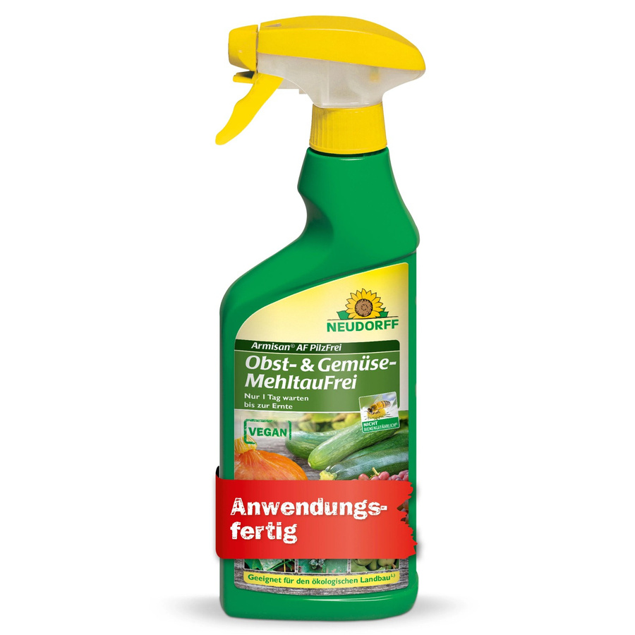 Neudorff Armisan AF Fungizid gegen Mehltau bei Obst, Gemüse und Rosen, 500 ml - Bild 2