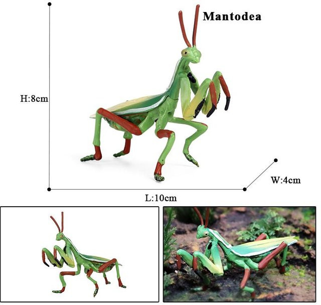 Oenux Wild Insekten Tiere Modell, Actionfiguren, ab 3 Jahre - Bild 1
