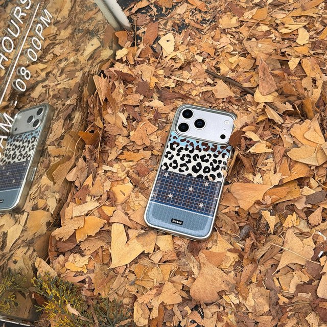 Handyhülle mit Leopardenmuster, Gittermuster und Sternen in Silber für iPhone 17 16 15 14 Pro Max, Multicolour - Bild 1