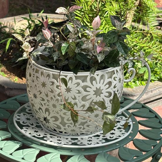 Dekorativer Vintage Blumentopf in Mintgrün aus Eisen für Sukkulenten und Kräuter - Bild 4