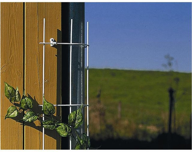Siena Garden Fallrohrgitter weiß für Fallrohre bis Ø 150 mm als Rank- und Kletterhilfe - Bild 1
