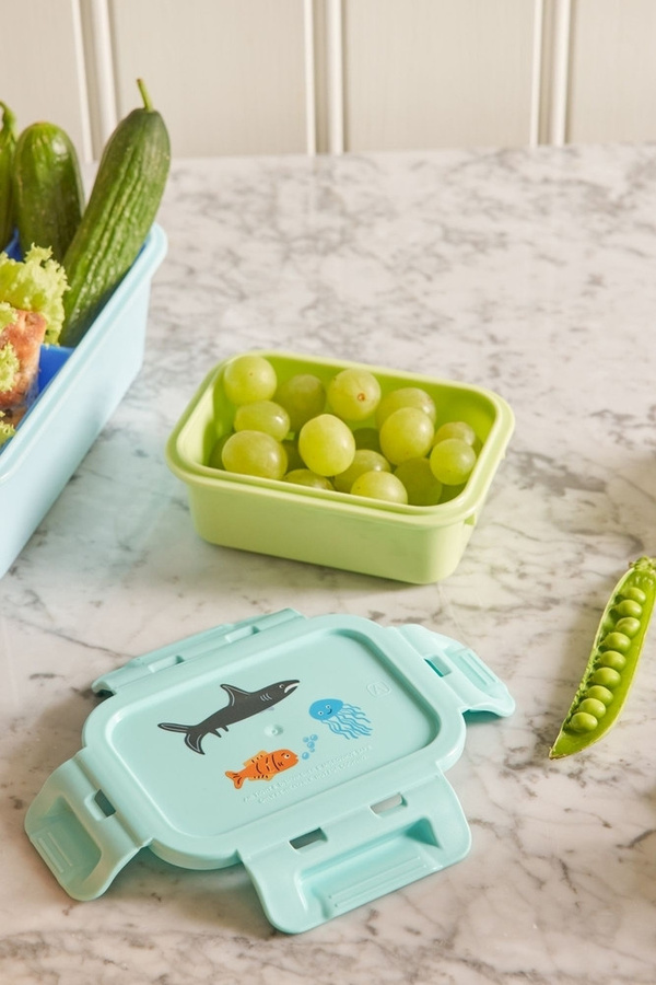 Rice kleine Brotdose Wildlife in Mint, luftdicht und mikrowellengeeignet - Bild 2