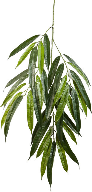 Künstlicher Longifolia-Zweig von Aplanta Gustav in Grün - Bild 1