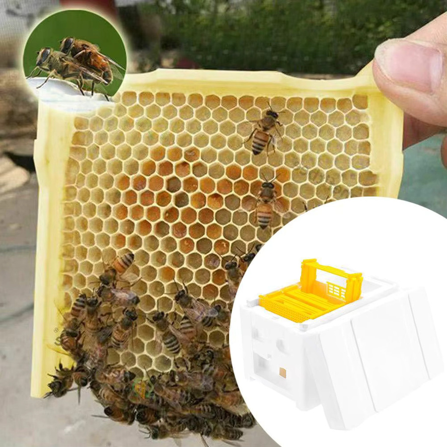 Imkerei Box aus Kunststoff für die Bienenzucht und Bestäubung - Bild 3