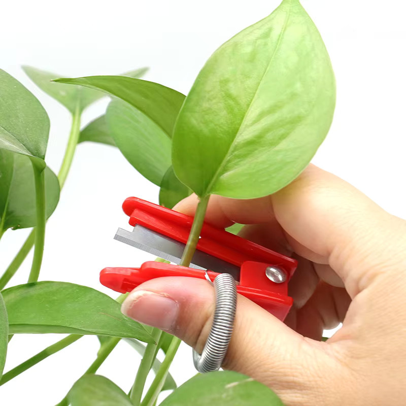 Rotes Pflückmesser für Gemüse und Obst zur Ernte von Trauben und kleinem Obst - Bild 2
