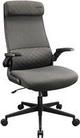 Cougar Stryder Gaming- und Office-Stuhl in Grau-Schwarz mit Stoffbezug und Armlehnen - Bild 1