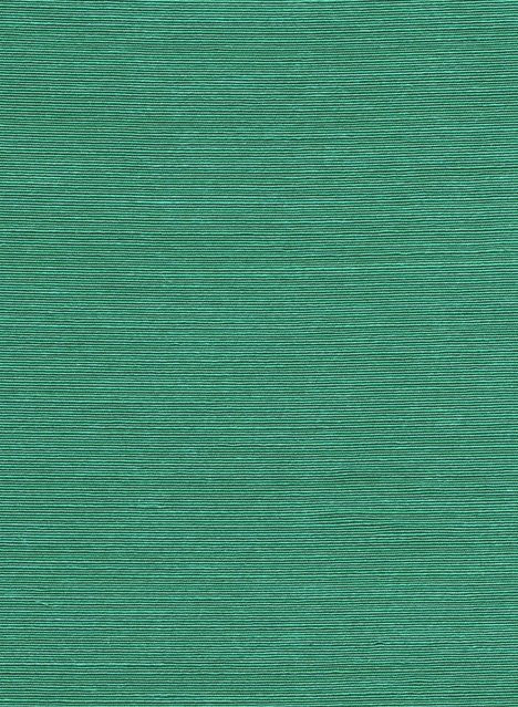 Arte International Tapete Agave Aztec in Grün mit botanischem und ethnischem Design aus Textil und Sisal - Bild 1
