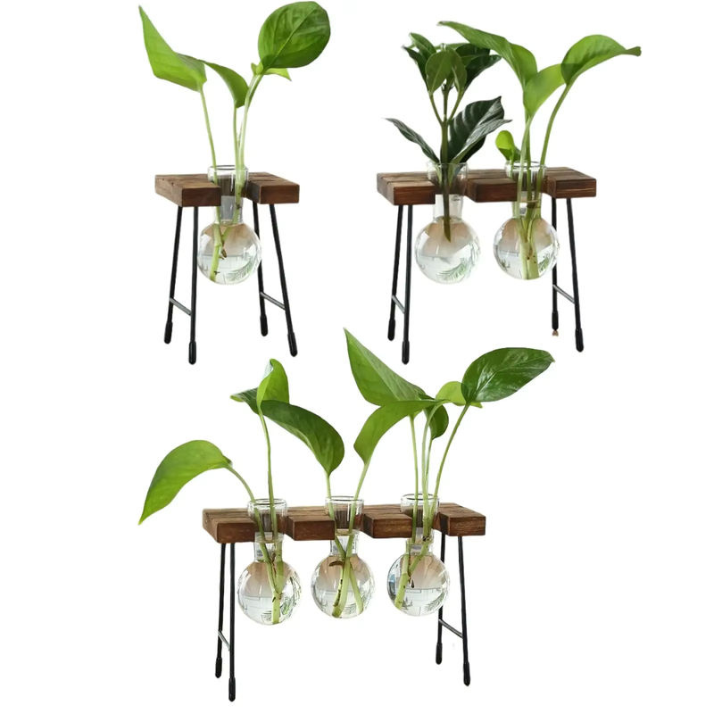 Homyl Hydroponische Glasvase für Tischdekoration, transparente Blumenvase für Wohnzimmer und Esstisch - Bild 5