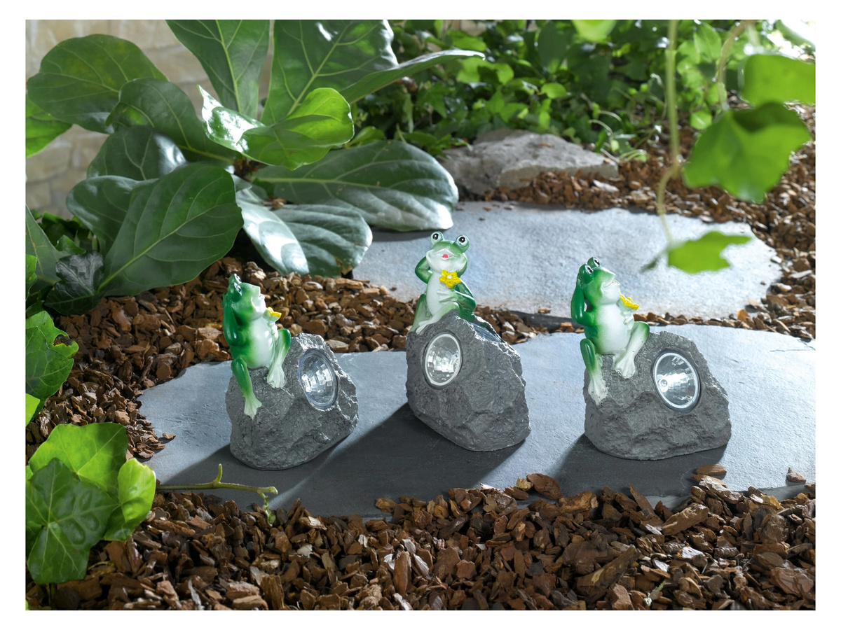 LIVARNO HOME Solarsteinleuchten Set mit Frosch in Grau, 3 Stück - Bild 2