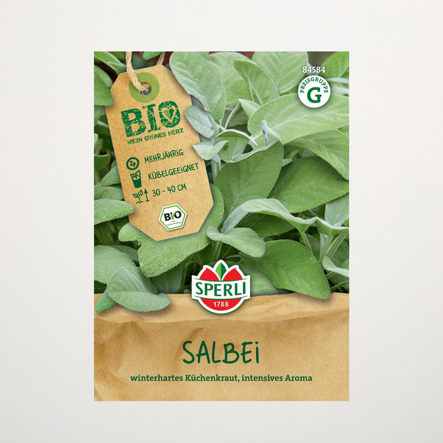 Sperli Salbei Samen BIO - Bild 1