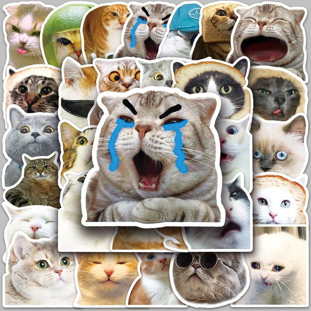 50 Stück wasserfeste Katzen-Emoji-Aufkleber in Multicolour für DIY-Dekoration von Notebook und Handyhülle - Bild 1