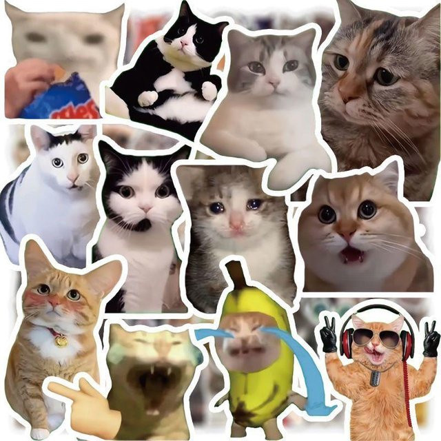 Rui Di Cartoon Katzen Emoji Aufkleber Multicolor für Gepäck, Wasserflaschen und Notizbücher (50 Stück) - Bild 1