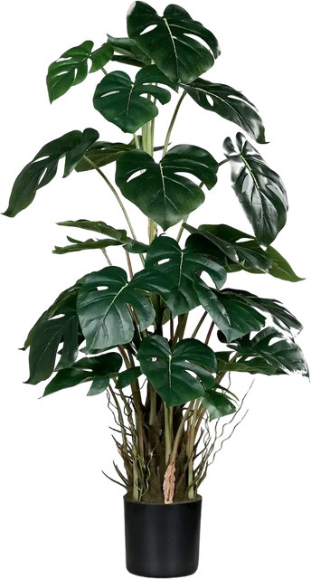 Künstliche Monstera Pflanze von Aplanta in Grün, Höhe: 82 cm - Bild 1