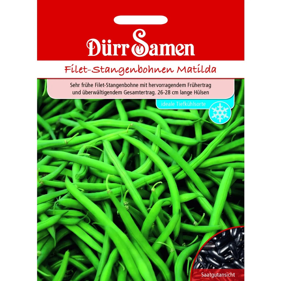 Dürr Samen Matilda Filet-Stangenbohnen Saatgut 155 g - Bild 2