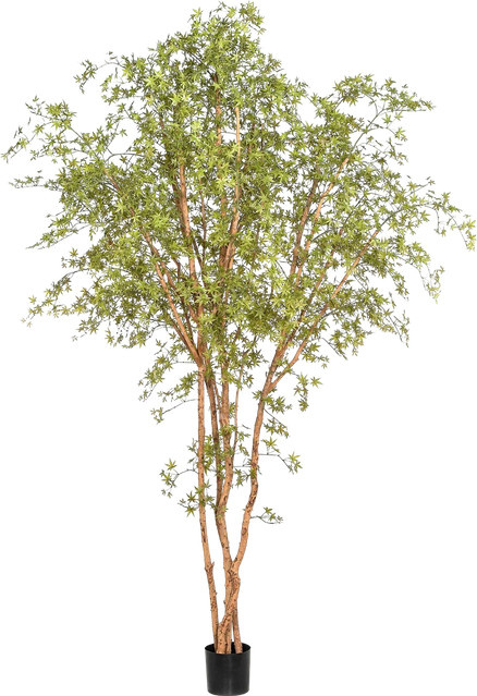 Künstlicher Ahornbaum Pagur von Aplanta, Höhe: 330 cm - Bild 1