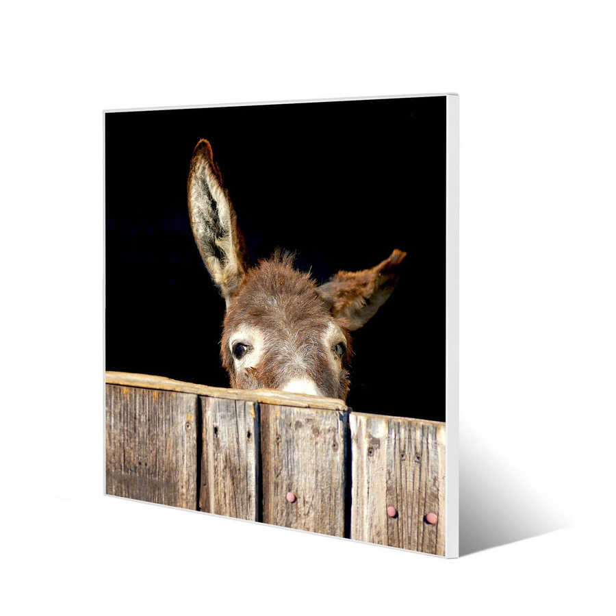 Banjado Magnettafel aus Stahl mit Esel-Motiv, Weiß, B/H: 50 x 50 cm - Bild 1