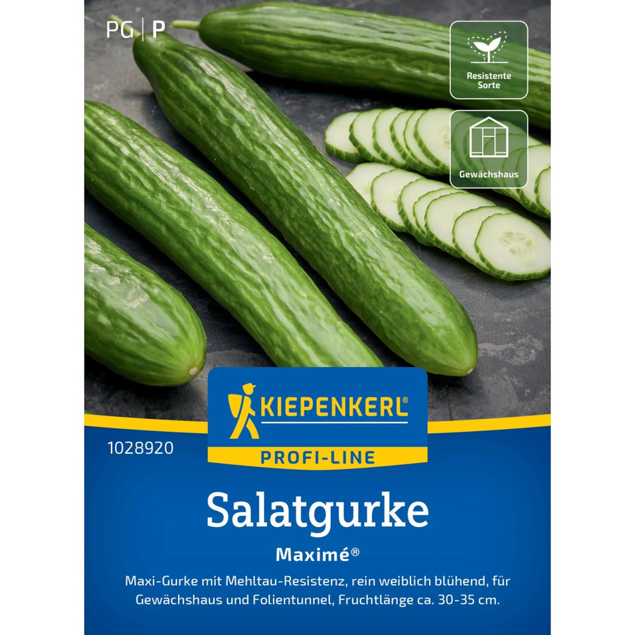 Kiepenkerl Profi-Line Salatgurke Maxime F1-Hybride für ungeheizte Hobby-Gewächshäuser und Folientunnel - Bild 2