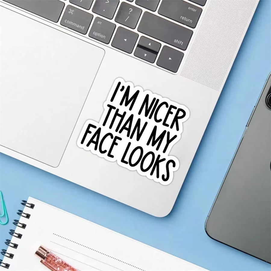 10 lustige Aufkleber I'm Nicer Than My Face Looks für Laptop und Tumbler in ästhetischem Design - Bild 5