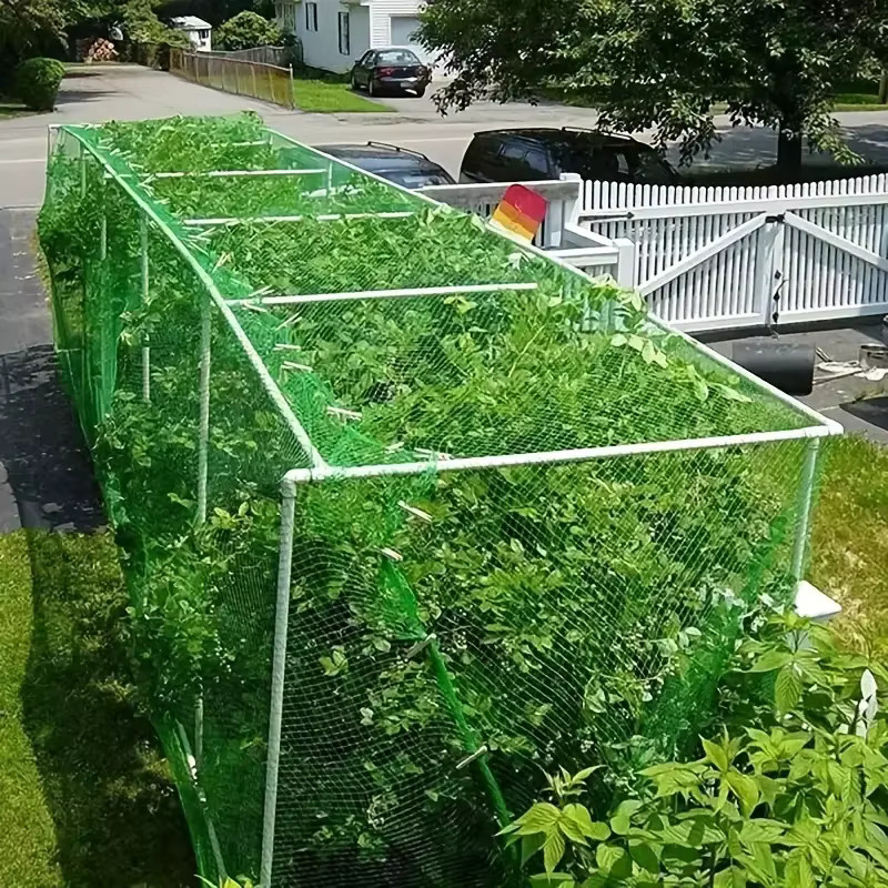 Grünes Gartennetz als Pflanzenschutz gegen Vögel und Tiere für Gemüse- und Ziergärten - Bild 5