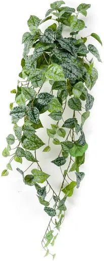 Künstliche Scindapsus pictus Pflanze Aplanta Rudi, Höhe: 90 cm - Bild 1