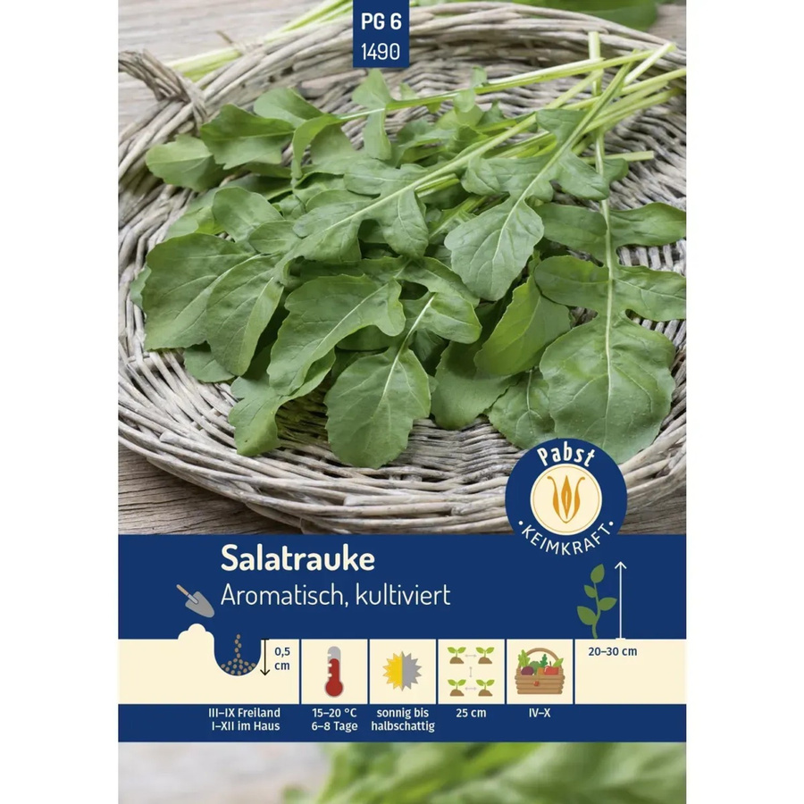 Pabst Keimkraft Salatrauke Aromatisch Kultiviert Saatgut - Bild 2