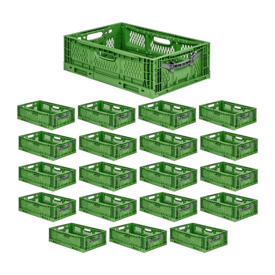 PROREGAL SuperSparSet 20er Pack Profi-Klappboxen Chameleon in Grün, stapelbar und klappbar, H x B x T: 18 x 40 x 60 cm - Bild 2