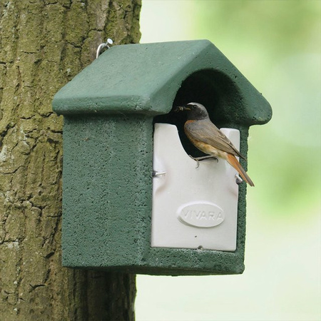 CJ Wildlife Nistkasten Barcelona WoodStone Halbhöhlenbrüter aus Holzbeton in Grün