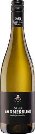 Oberkircher Badnerbueb Weißwein Cuvée Grauburgunder, Baden, 2025, halbsüß, 12,5 %, 0,75 l
