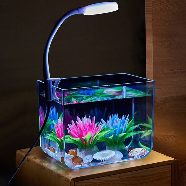 HiMISS Quadratisches Aquarium-Starter-Set mit Klemmleuchte und rutschfester Basis in Transparent - Bild 1