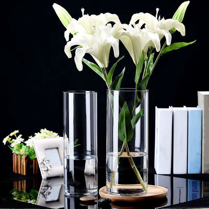 ACRDKK Glasvase für Hydrokultur und Schnittblumen, zylindrisch und transparent, Dekoration für Desktop und Schlafzimmer, B/T/H: 5,5 x 5,5 x 10 cm - Bild 3