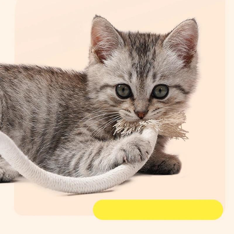 NATAWA Katze Kauen Spielzeug Interaktives Molaren Seil Spielzeug violett - Bild 2