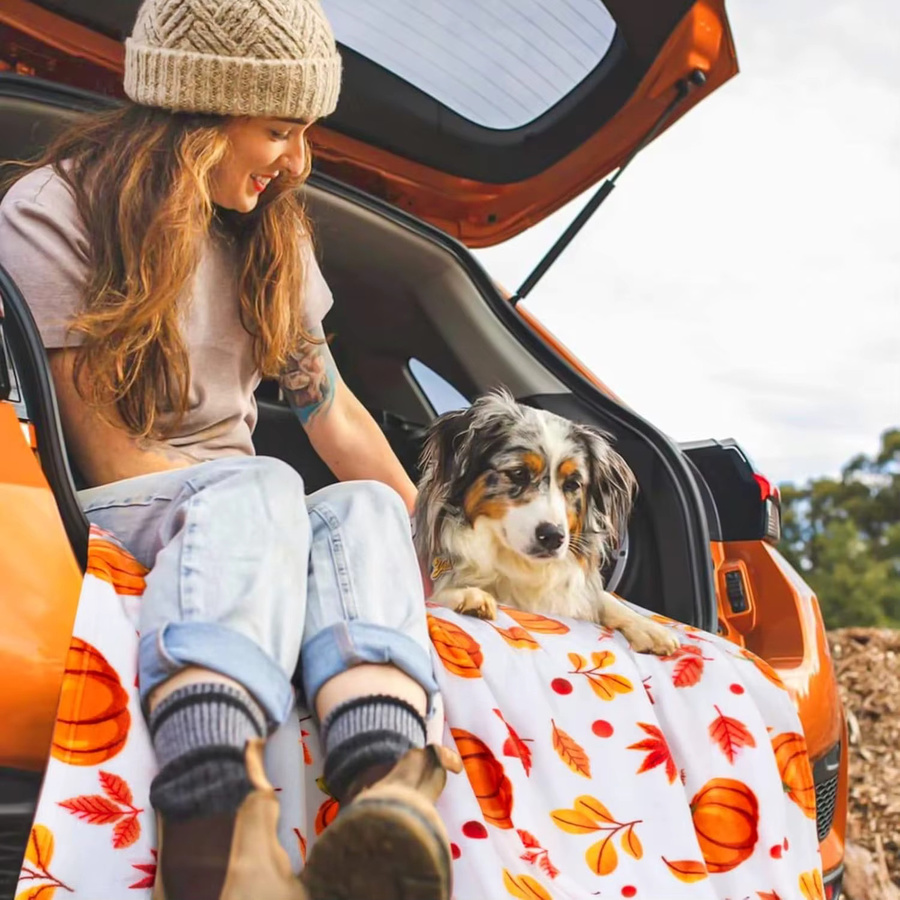 Inhand Plüschdecke mit Kürbis-Motiv für Herbst und Halloween als dekorative Kuscheldecke für Sofa und Couch - Bild 3