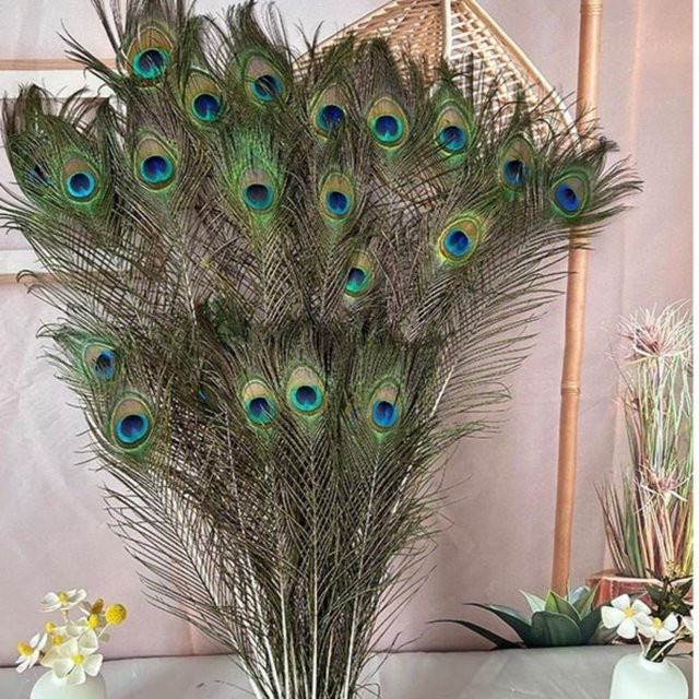 10 Stück natürliche Pfauenfedern mit Auge als Basteldekoration von sweetyhome in Grau, Blau und Multicolour - Bild 1