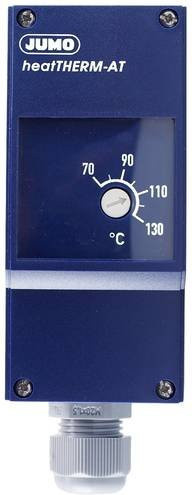 Jumo Sicherheitstemperaturwächter 60003189 in Blau, Wandmontage, Kunststoff - Bild 1