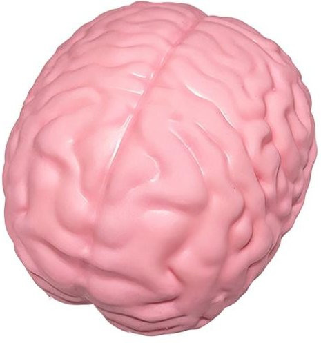 Zoeneed Riesiges Simulations-Gehirn Knetspielzeug Rosa 1-teiliges Set - Bild 1