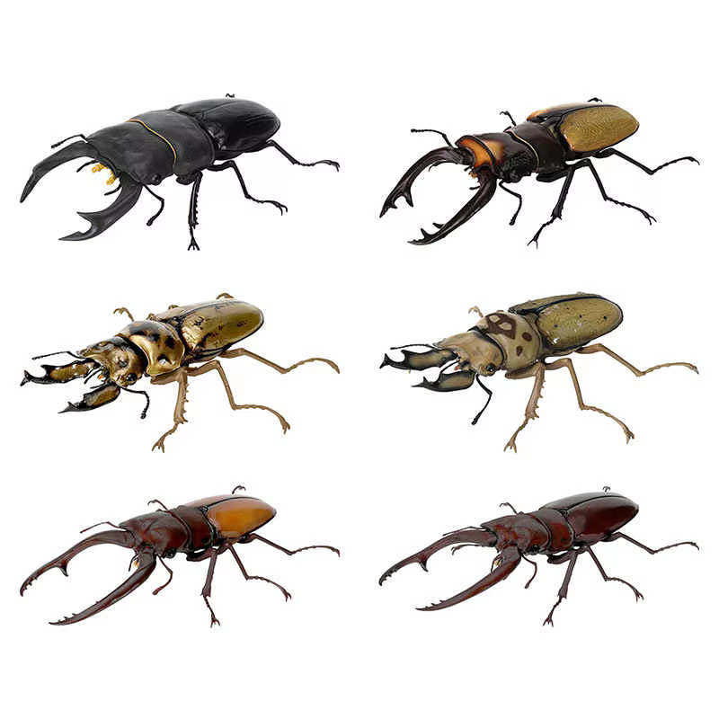 Bandai Chalcosoma Atlas Kaukasus Käfer, Bewegliches Modell, Actionfigur - Bild 2