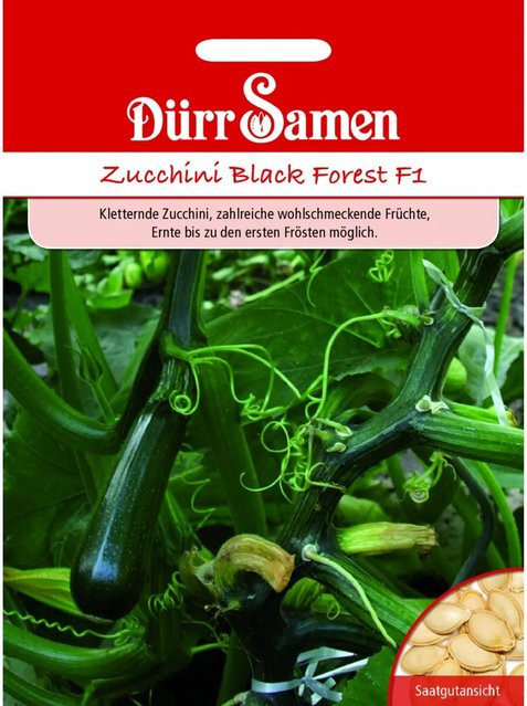 Dürr Zucchini Black Forest F1 Saatgut für Gewächshaus und Freiland, 10,5 g - Bild 1
