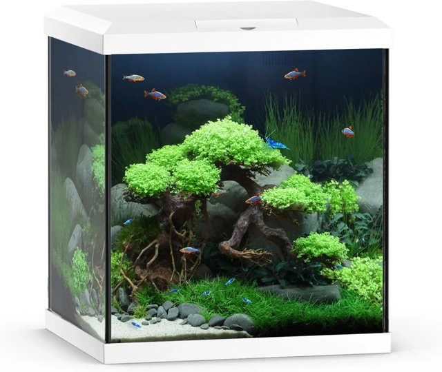 Juwel Aquarium-Set Vio Cube 54 LED SBX in Weiß - Bild 1