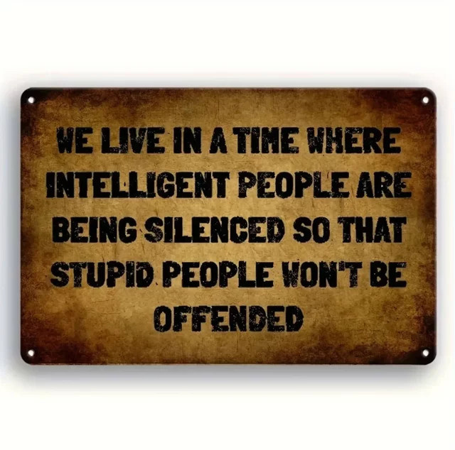 FunnyPlateCo Vintage-Aluminiumplatte Dupid People Won't Offended in Braun, B: 20,3 cm, H: 30,5 cm - Bild 1