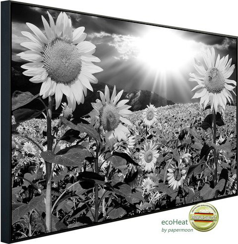 papermoon Infrarotheizung EcoHeat Pusteblume in Schwarz und Weiss mit Matt-Effekt und App-Steuerung - Bild 1