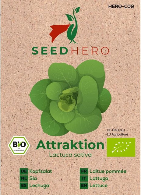 Seedhero BIO Kopfsalat Attraktion Gemüsesamen für Frühling und Sommer, 6 g - Bild 1