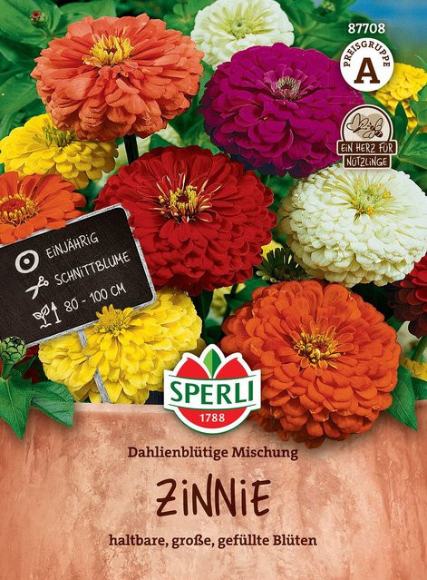 SPERLI Zinnien-Samen Dahlienblütige Mischung bunt - Bild 1