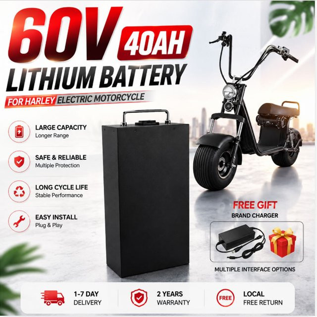 Citycoco Harley Lithium-Batterie 60V 40Ah in Schwarz mit integriertem BMS und 67,2V 2A Ladegerät für 500W-2000W Elektromotoren - Bild 1