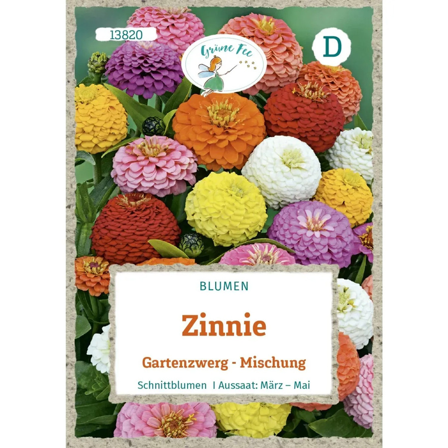 Grüne Fee Zinnie Gartenzwerg Saatgut für Beete und Rabatten - Bild 2