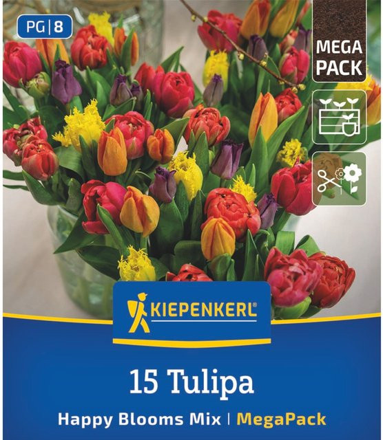Kiepenkerl Tulpenmischung Happy Bloom Mix, bunt, 15 Zwiebeln - Bild 1